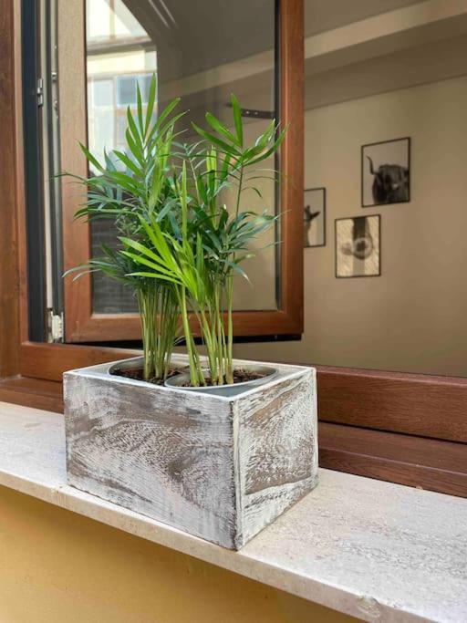Bermudo III Vut-Le-784 Apartman León Kültér fotó